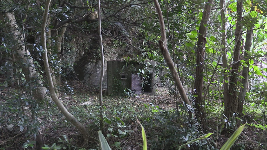 夜明け前のうた 消された沖縄の障害者 第34回東京国際映画祭